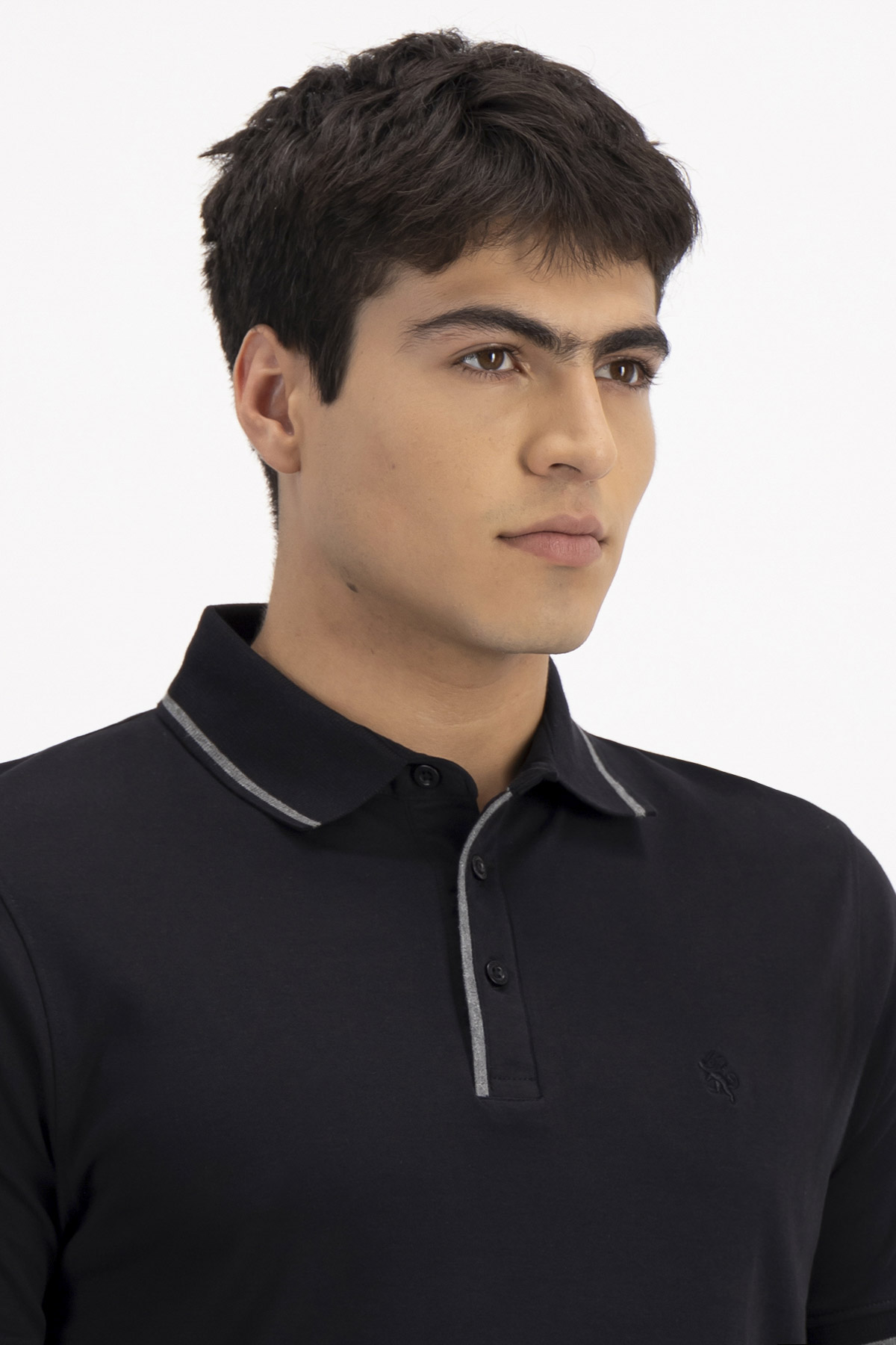 PLAYERA TIPO POLO PREMIUM COTTON CONTEMPORARY FIT LAMBERTI image number 2
