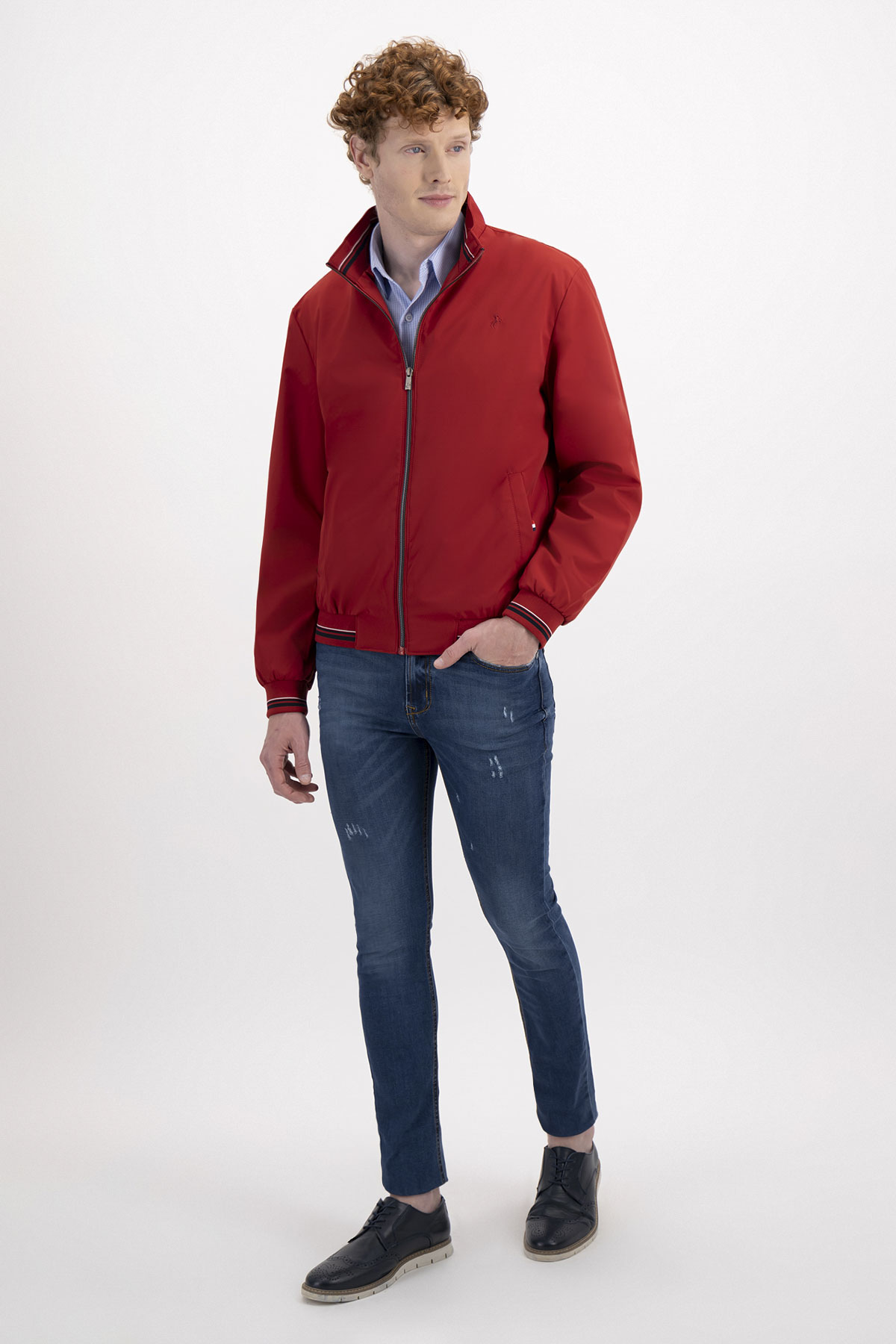 CHAMARRA CONTEMPORARY FIT ROYALTON image number 2