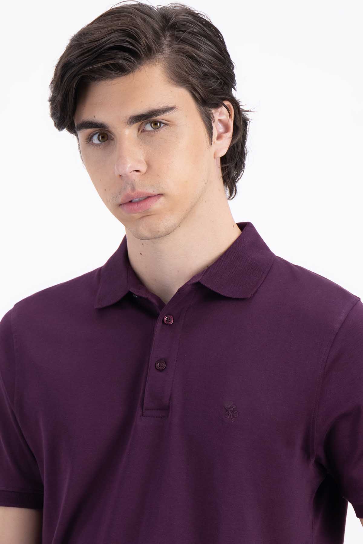 POLO VINO OBSCURO CONTEMPORARY FIT LAMBERTI image number 2