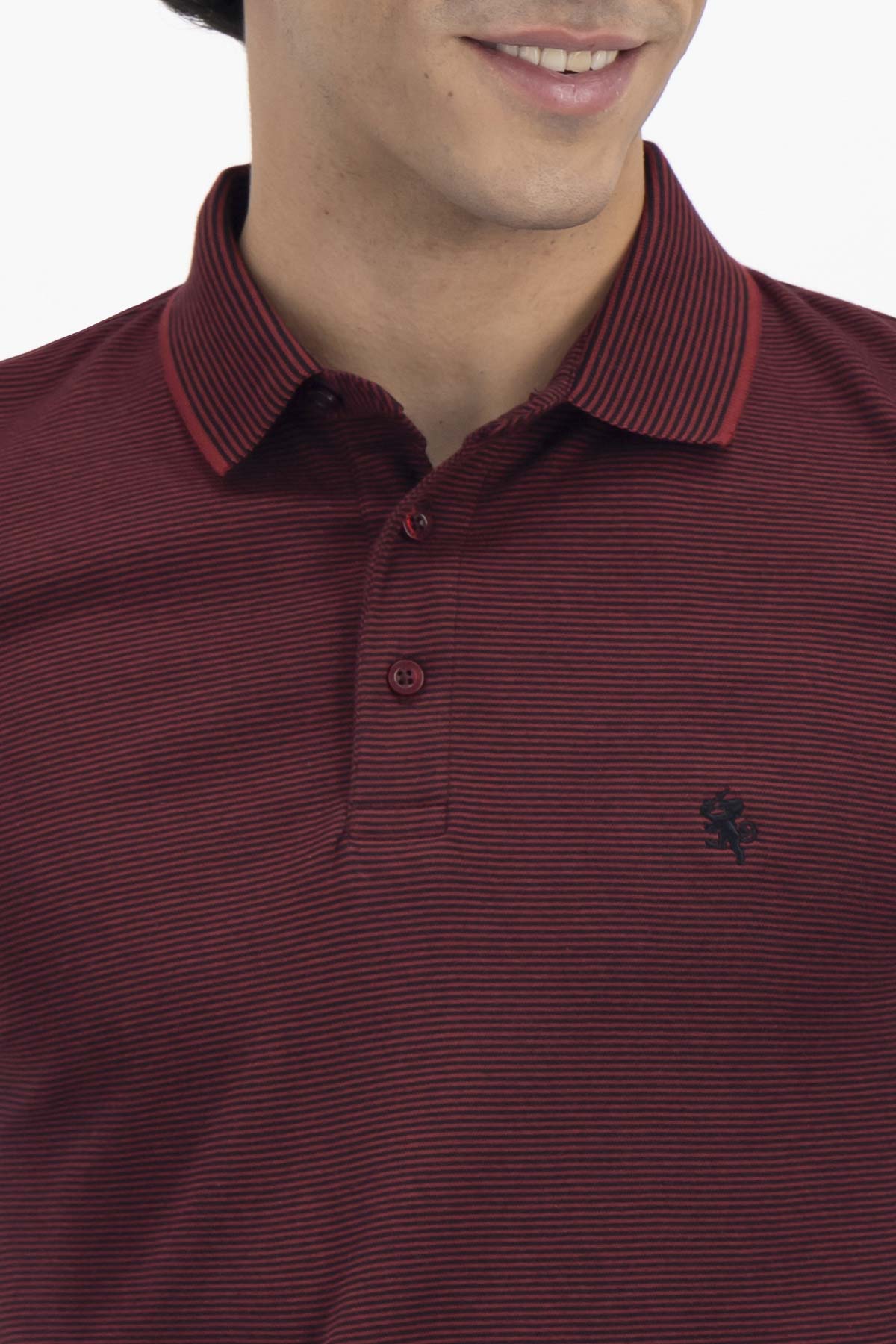 PLAYERA TIPO POLO PREMIUM COTTON CONTEMPORARY FIT LAMBERTI image number 2