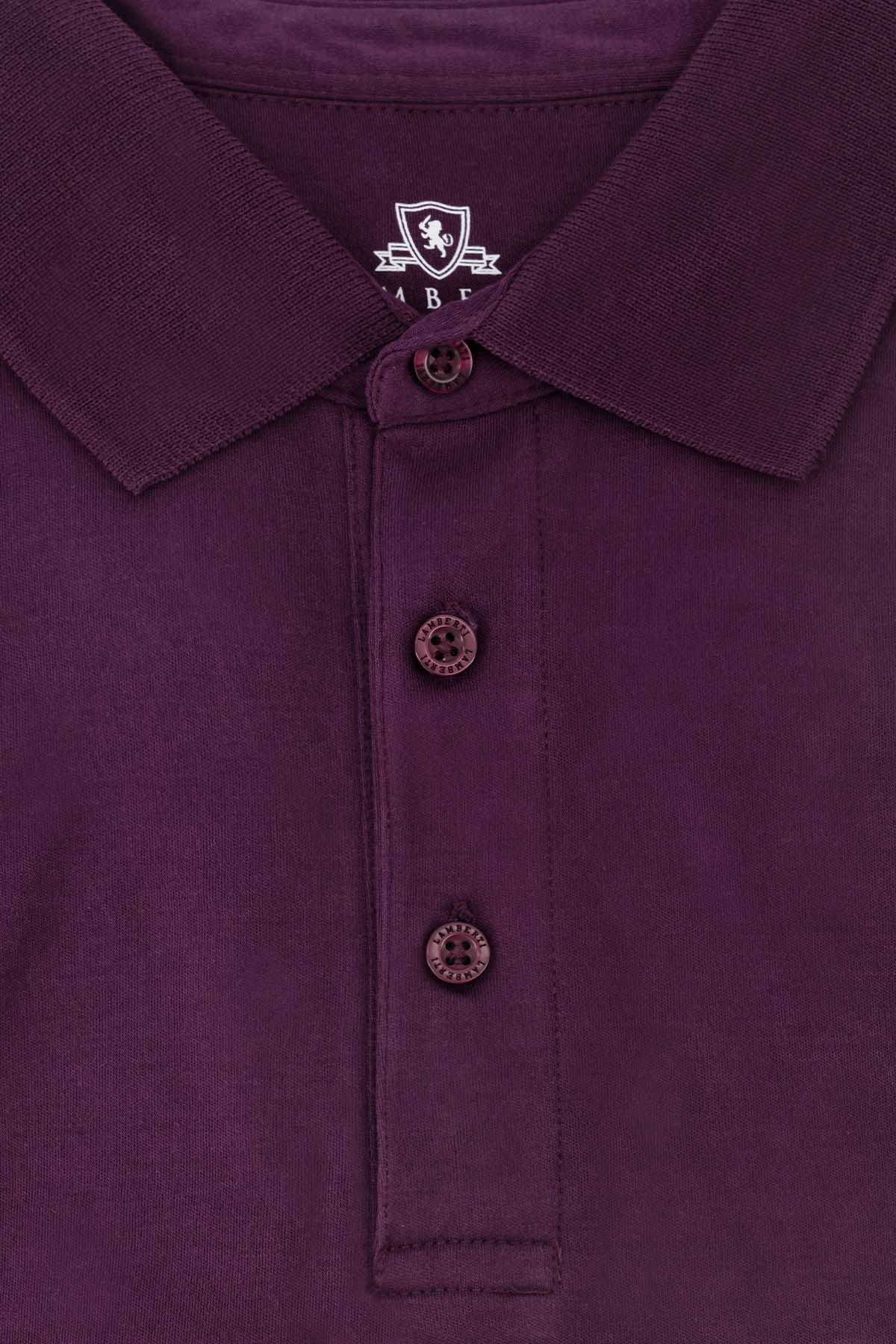 POLO VINO OBSCURO CONTEMPORARY FIT LAMBERTI image number 3