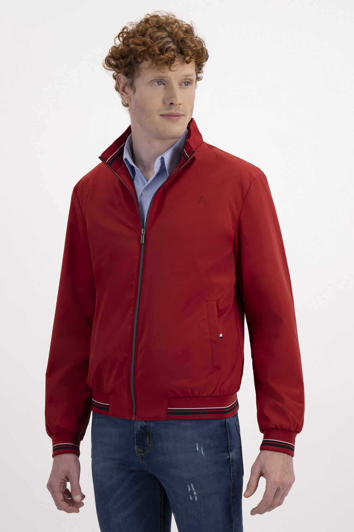 CHAMARRA CONTEMPORARY FIT ROYALTON