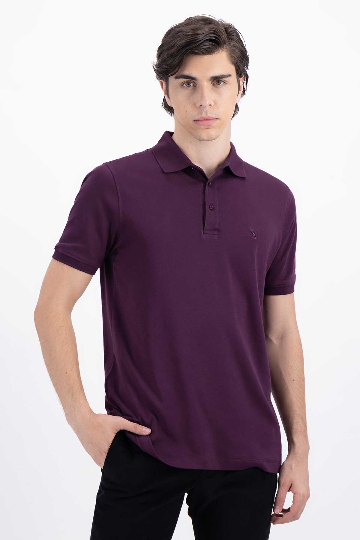 POLO VINO OBSCURO CONTEMPORARY FIT LAMBERTI image number 1