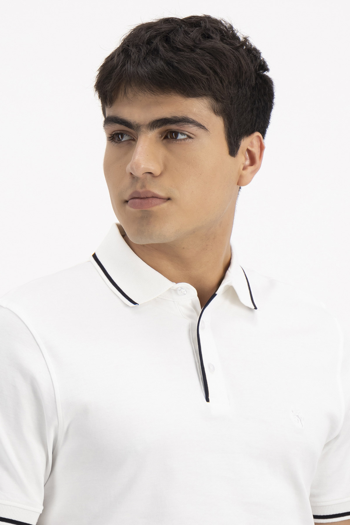 PLAYERA TIPO POLO PREMIUM COTTON CONTEMPORARY FIT LAMBERTI image number 2