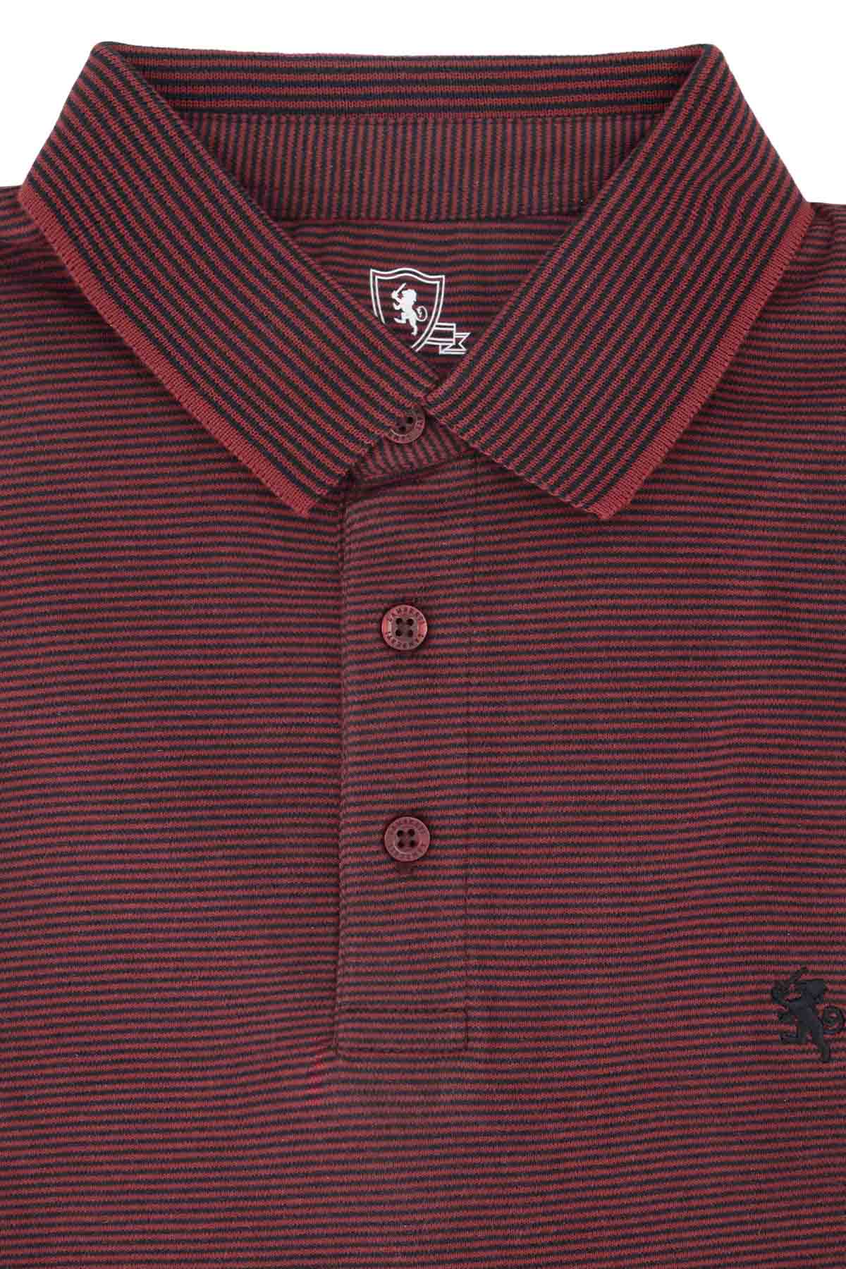 PLAYERA TIPO POLO PREMIUM COTTON CONTEMPORARY FIT LAMBERTI image number 4