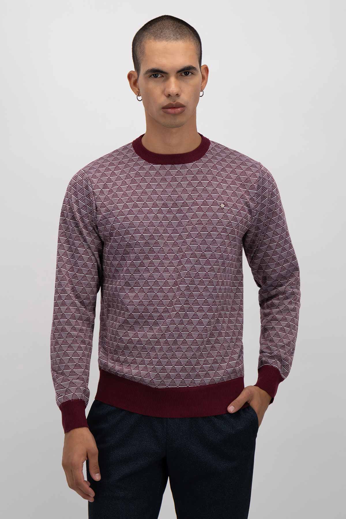 SUÉTER SLIM FIT LMENTAL image number 1